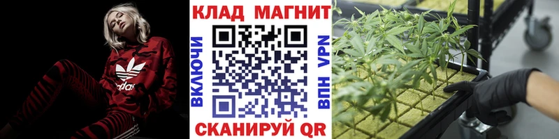 Цена Великие Луки СК МАРИХУАНА Мефедрон АМФЕТАМИН ГАШ