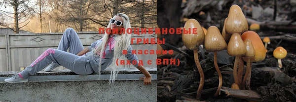 винт Балахна