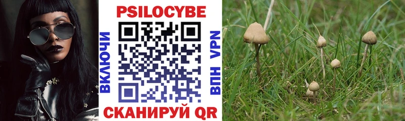 Галлюциногенные грибы Cubensis  Великие Луки 