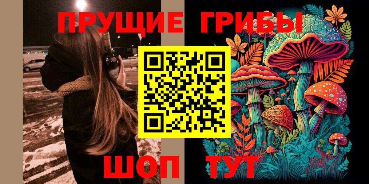 Великие Луки  Псилоцибиновые грибы MAGIC MUSHROOMS  Вход с VPN  Псилоцибиновые грибы Cubensis 